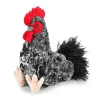 black rooster yp