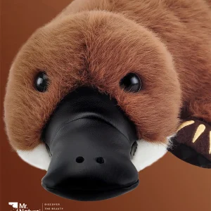 Naturtroget platypus gosedjur i kawaii-stil med bred näbb och medföljande ägg