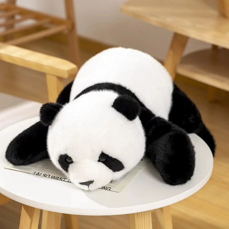Realistiskt och sött panda gosedjur på 30 cm, viktat och mjukt för kramar och sällskap 6 Realistiskt och sött panda gosedjur på 30 cm, viktat och mjukt för kramar och sällskap - Bild 6