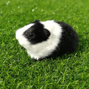 Gris och hamster gosedjur, verklighetstrogen och söt