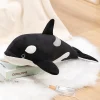 Orcinus Orca