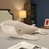 grey whale