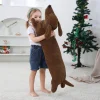 70cm