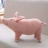 a pink