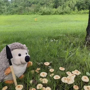 hedgehog gosedjur på med gullig, naturtrogen tecknad design i skogsstil, 18 cm 11 hedgehog gosedjur på med gullig, naturtrogen tecknad design i skogsstil, 18 cm