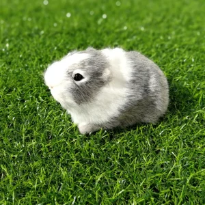 Gris och hamster gosedjur, verklighetstrogen och söt