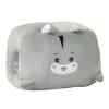 Shiba Inu