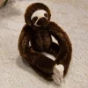 1 Sloth