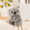 Koala från Australien, lurvig mjuk plyschkudde och mjuk leksak, cirka, 19 cm 20 Koala från Australien, lurvig mjuk plyschkudde och mjuk leksak, cirka, 19 cm