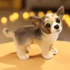Chihuahua standing
