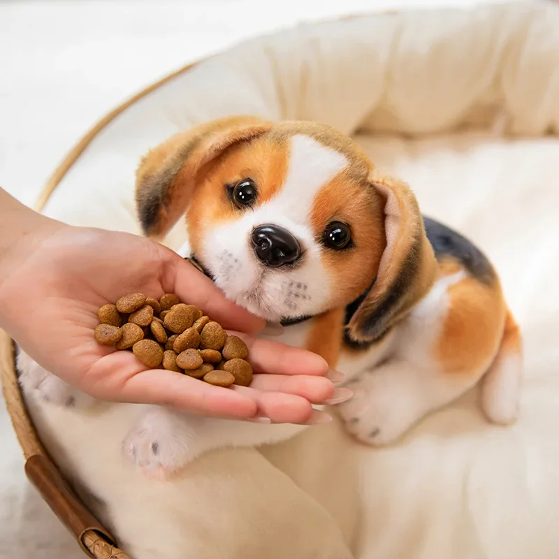 Hund som gosedjur med realistiskt dalmatiner- och beaglevalpsmotiv, 25–30 cm 3 Hund som gosedjur med realistiskt dalmatiner- och beaglevalpsmotiv, 25–30 cm - Bild 3
