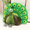 green Peacock
