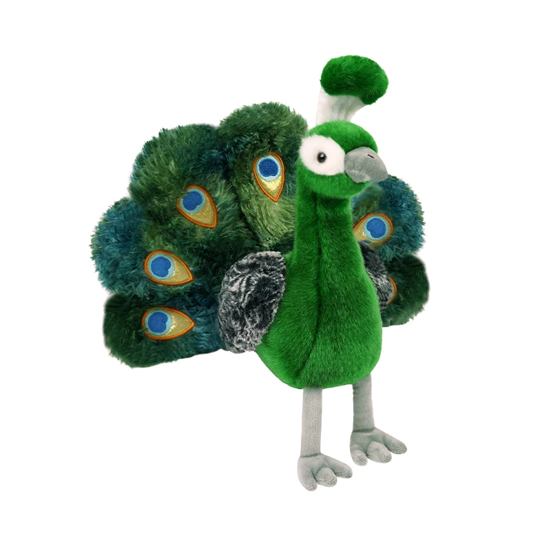 Peacock gosedjur, svart and vit och Open screen design 35 Grön påfågel med utslagen stjärt och färgstarka ögonmönster mot vit bakgrund.