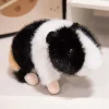 black white