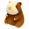 Brown guinea pig