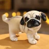 Pug standing