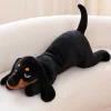 BlackDog