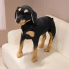 Rottweiler-hund gosedjur med realistiskt 3D-utseende, svart färg och stående pose 12 Rottweiler-hund gosedjur med realistiskt 3D-utseende, svart färg och stående pose