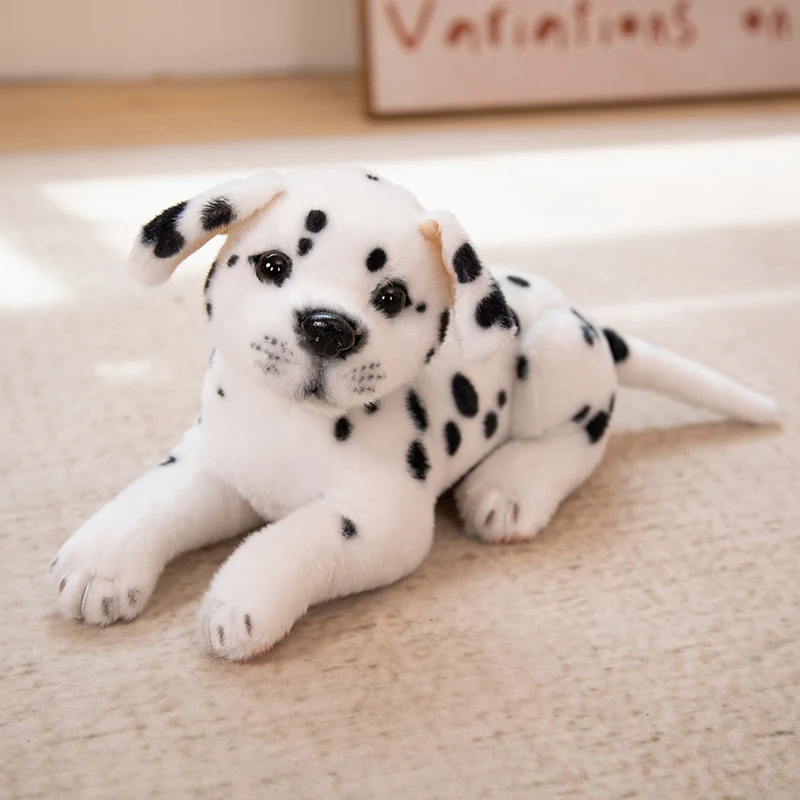 Hundkudde med prickigt Dalmatianmotiv, realistisk och söt valpdesign, 25–30 cm 10 Hundkudde med prickigt Dalmatianmotiv, realistisk och söt valpdesign, 25–30 cm - Bild 10
