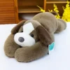 brown dog KRQ