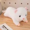 White anglo mink