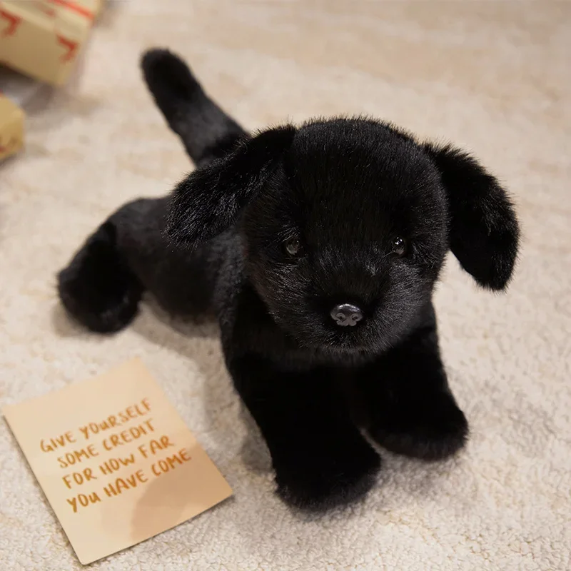 Hund gosedjur som naturtrogen Labradorvalp med kramvänlig kuddeform, 30–43 cm 7 Hund gosedjur som naturtrogen Labradorvalp med kramvänlig kuddeform, 30–43 cm - Bild 7