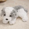 gray white