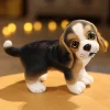 Beagle standing