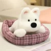Westie