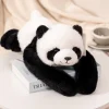 Panda KRQ