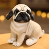 Pug sitting