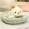 Chinese Song Dog