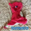 Charmeleon-Shell