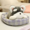 Schnauzer