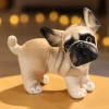Bulldog standing